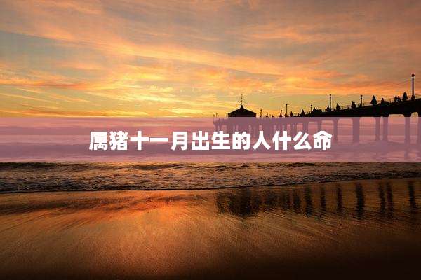 属猪十一月出生的人什么命