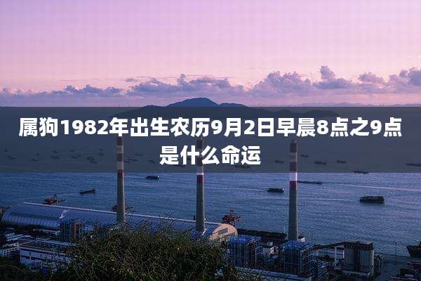 属狗1982年出生农历9月2日早晨8点之9点是什么命运