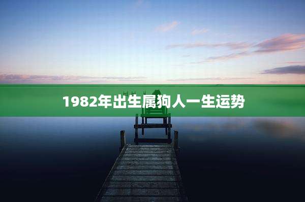 1982年出生属狗人一生运势