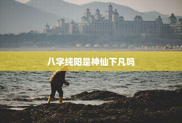 八字纯阳是神仙下凡吗