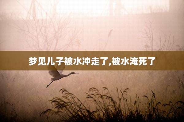 梦见儿子被水冲走了,被水淹死了