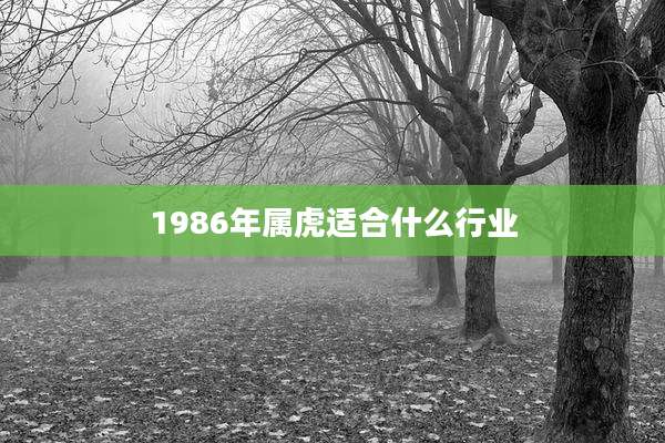 1986年属虎适合什么行业