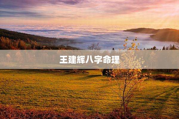 王建辉八字命理