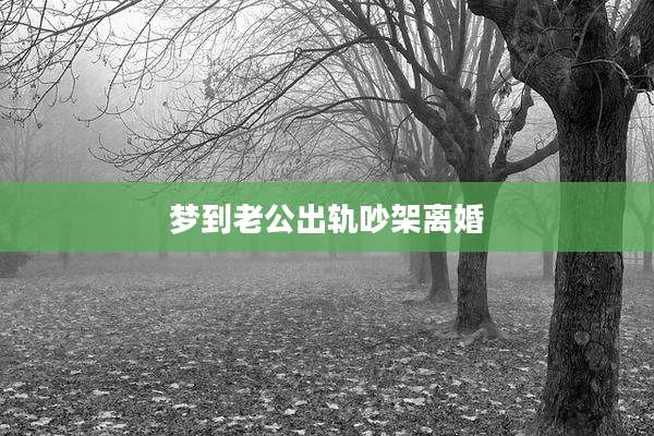梦到老公出轨吵架离婚