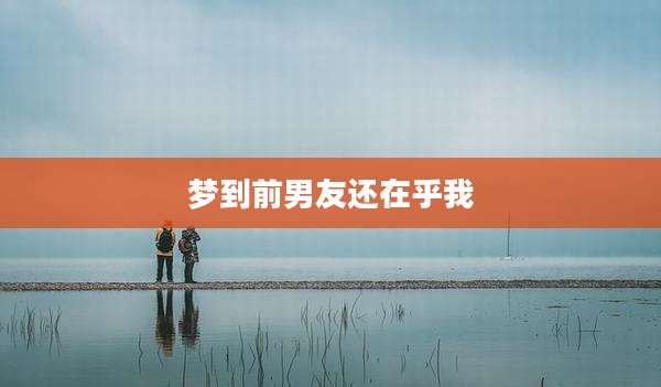 梦到前男友还在乎我
