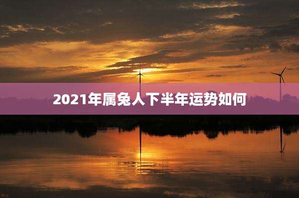 2021年属兔人下半年运势如何