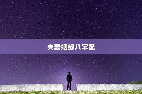 夫妻姻缘八字配