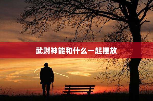 武财神能和什么一起摆放