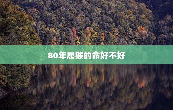 80年属猴的命好不好