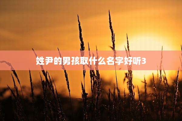 姓尹的男孩取什么名字好听3