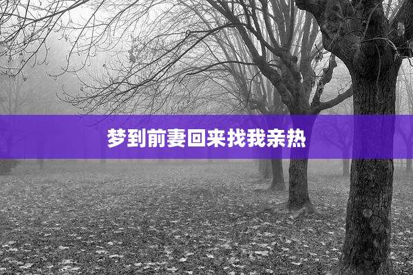 梦到前妻回来找我亲热