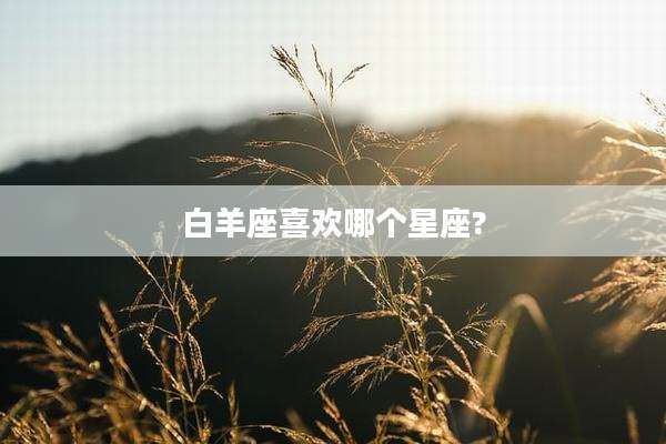 白羊座喜欢哪个星座?