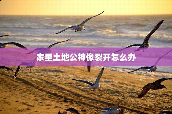 家里土地公神像裂开怎么办