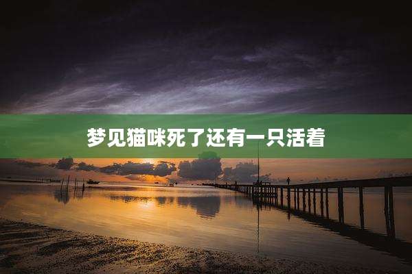 梦见猫咪死了还有一只活着
