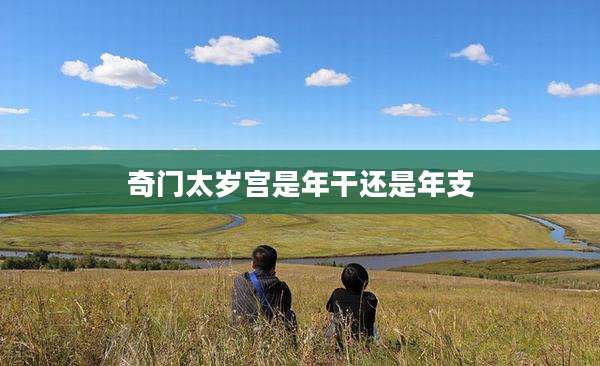奇门太岁宫是年干还是年支