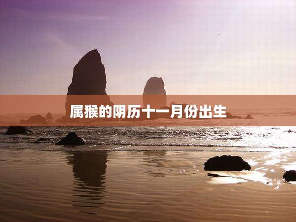 属猴的阴历十一月份出生