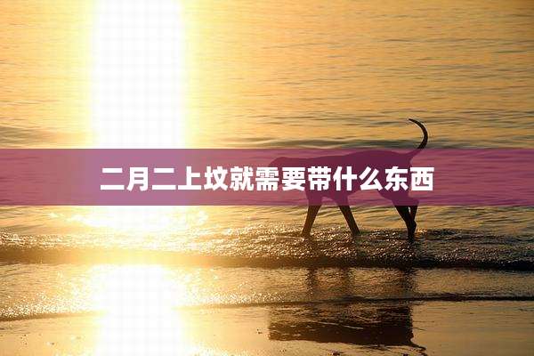 二月二上坟就需要带什么东西