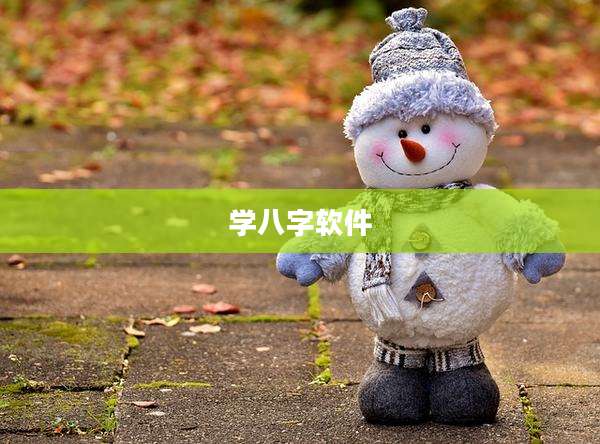 学八字软件