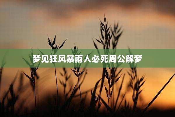 梦见狂风暴雨人必死周公解梦