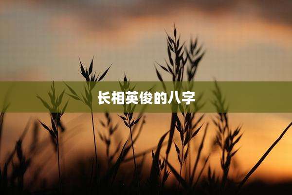 长相英俊的八字