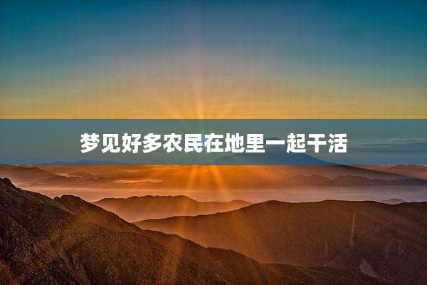 梦见好多农民在地里一起干活