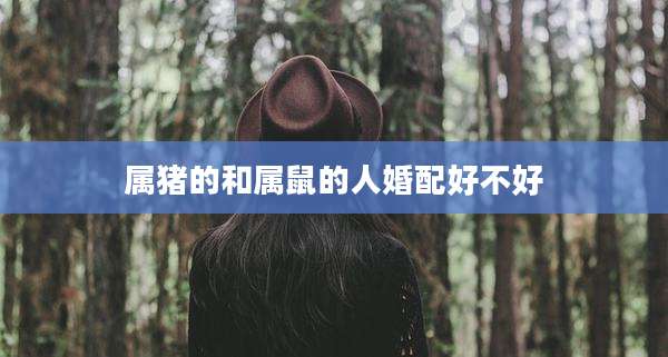 属猪的和属鼠的人婚配好不好