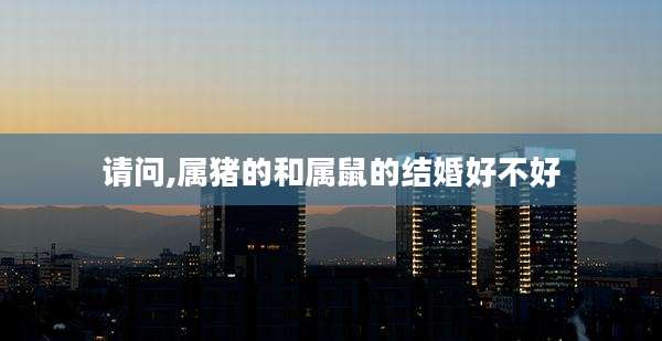 请问,属猪的和属鼠的结婚好不好