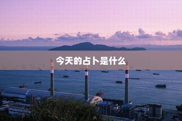 今天的占卜是什么