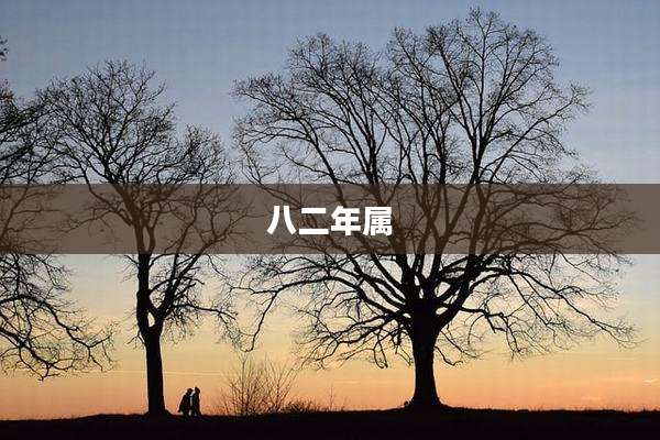 八二年属