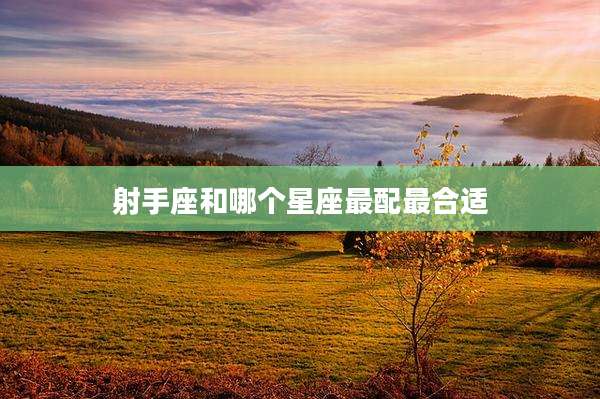 射手座和哪个星座最配最合适
