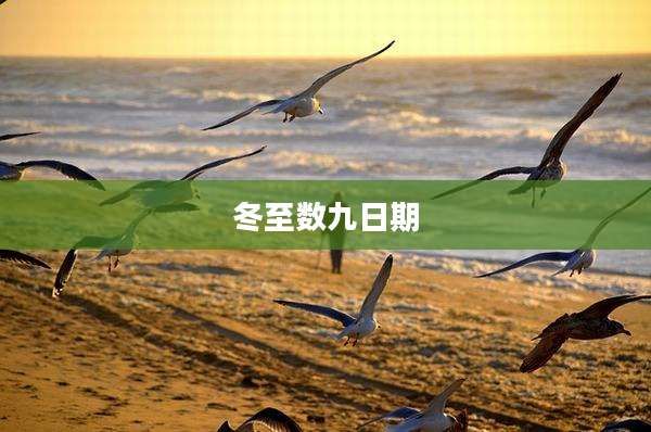 冬至数九日期