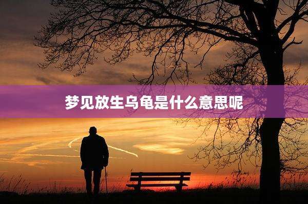 梦见放生乌龟是什么意思呢