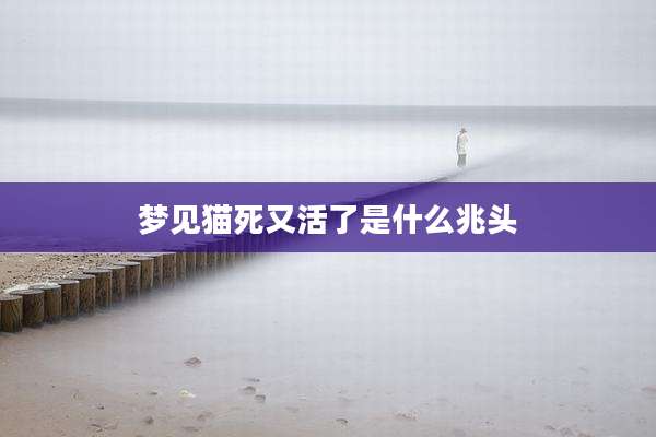 梦见猫死又活了是什么兆头