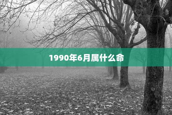 1990年6月属什么命