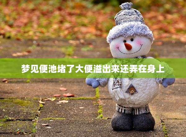 梦见便池堵了大便溢出来还弄在身上