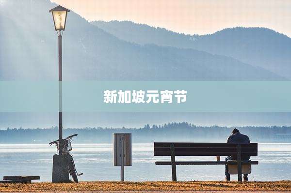 新加坡元宵节
