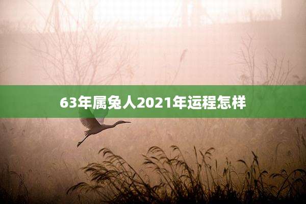 63年属兔人2021年运程怎样