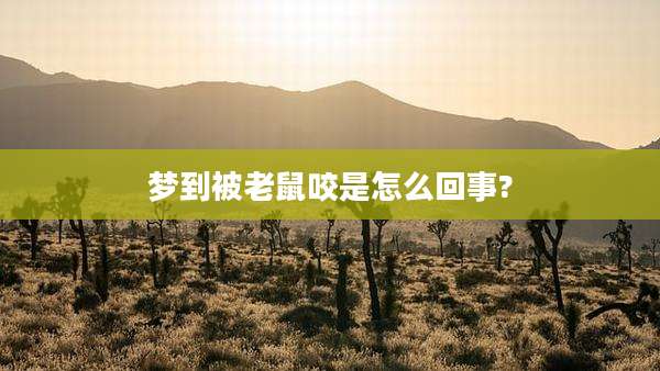 梦到被老鼠咬是怎么回事?