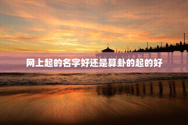 网上起的名字好还是算卦的起的好