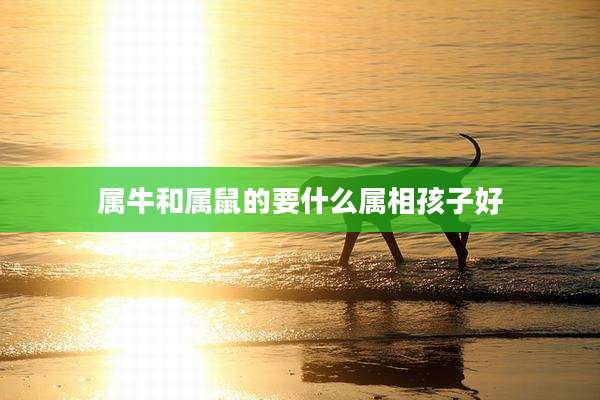 属牛和属鼠的要什么属相孩子好