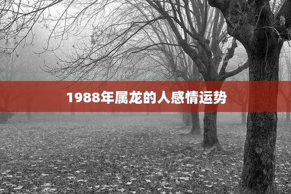 1988年属龙的人感情运势