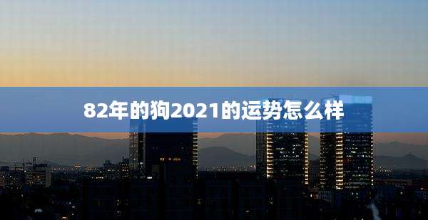 82年的狗2021的运势怎么样