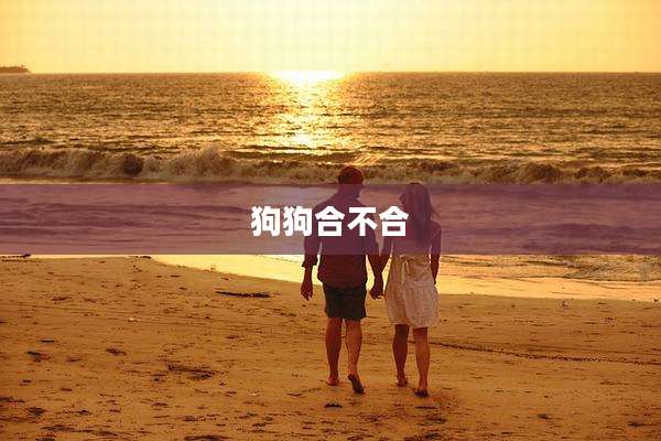 狗狗合不合