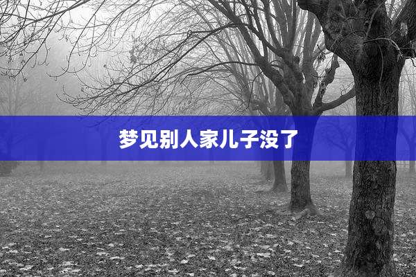 梦见别人家儿子没了