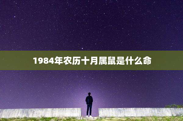 1984年农历十月属鼠是什么命