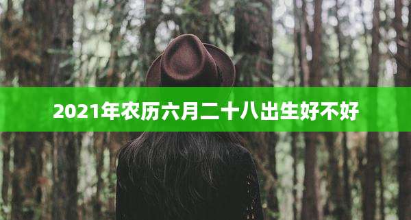 2021年农历六月二十八出生好不好