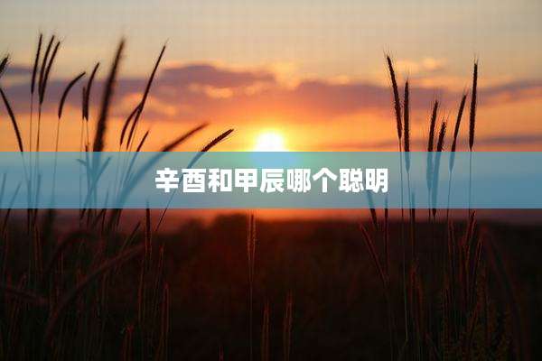 辛酉和甲辰哪个聪明