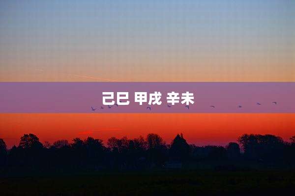 己巳 甲戌 辛未