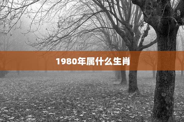 1980年属什么生肖