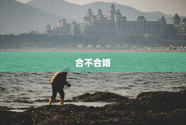 合不合婚